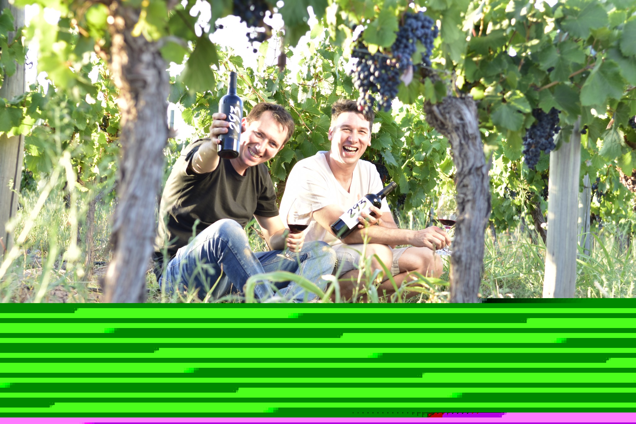 Juan Manuel y Luis Vignale en el viñedo